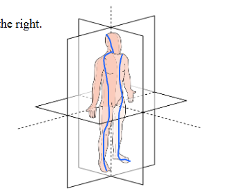 <p>What is this body plane?</p>
