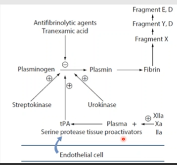 <p>antifibrinolytic agents like tranexamic acid&nbsp;</p>