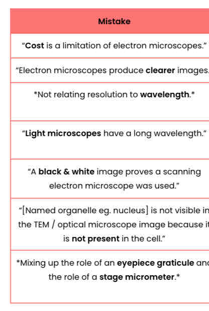 <p>Exam insight: common mistakes</p>