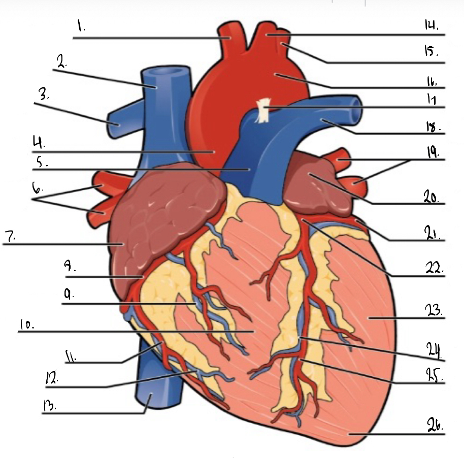 <p>Identity #2 on this image.</p>