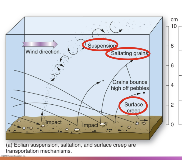 <p>Wind erosion</p>