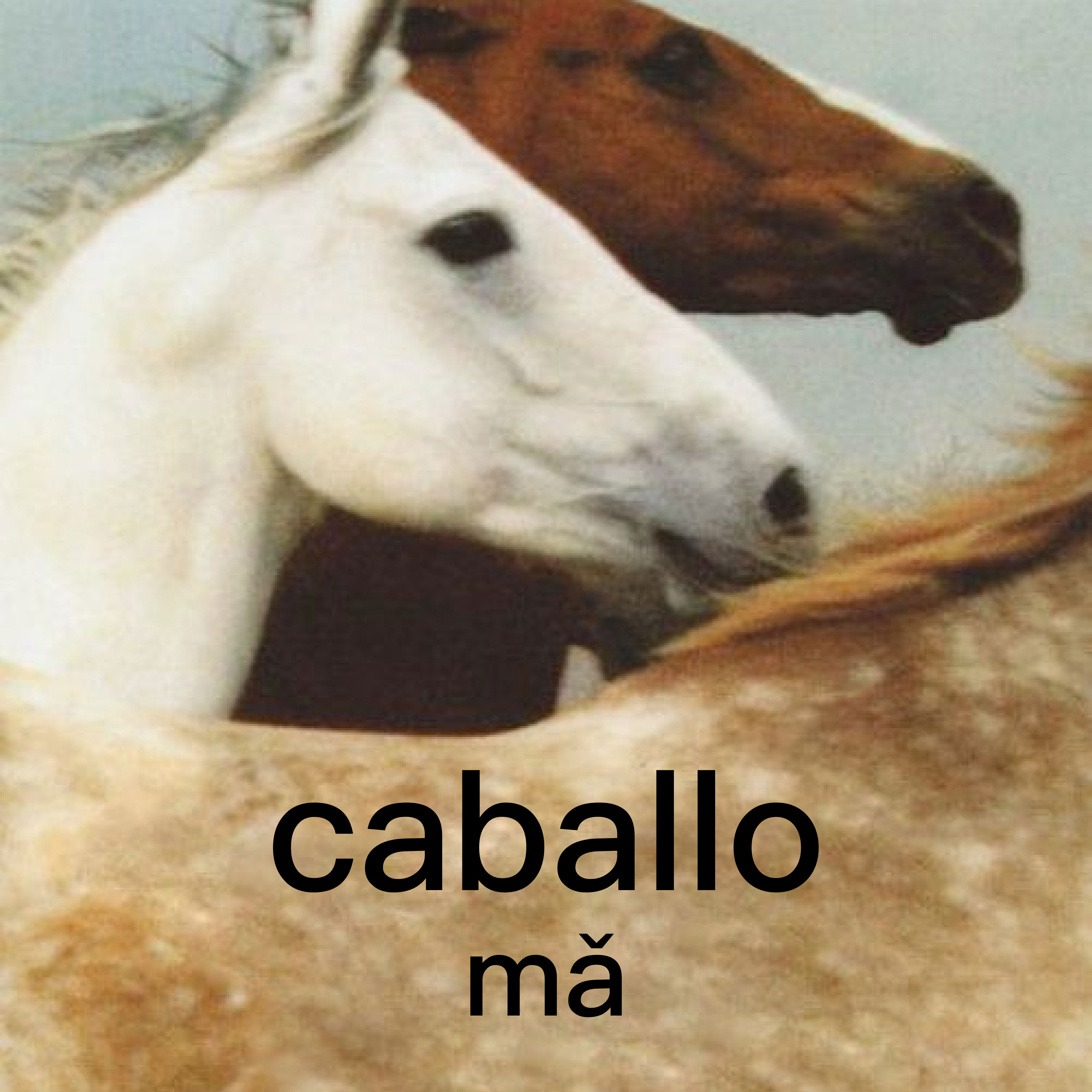 <p><span style="font-family: Calibri, sans-serif">mǎ</span></p><p></p>