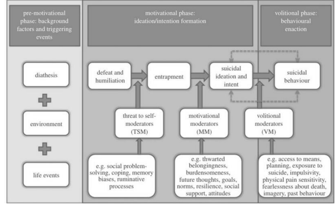 <p>= het model is een diathese-stress model, dat de componenten van de premotivationele (idee- en intentievorming) en vrijwillige (gedragsuitoefening) fasen van suïcidaliteit specificeert.</p>