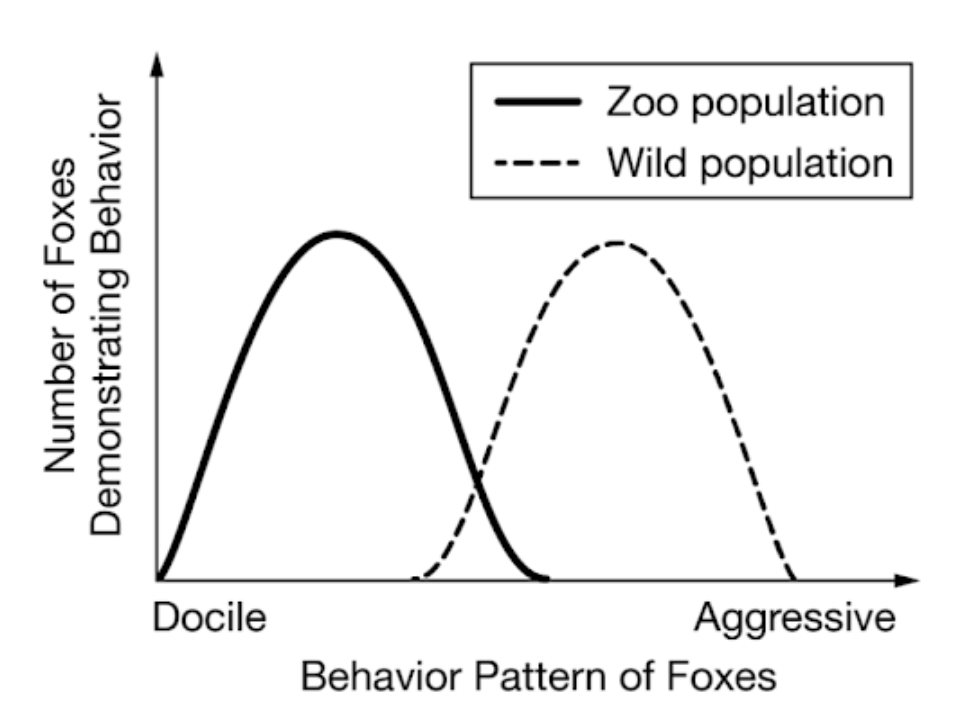 <p><span>We learned in class that the following graph on Russian Silver Foxes was best described as resulting from artificial selection. Which of the following statements would justify that instead of artificial selection the results were due to genetic drift?</span></p>