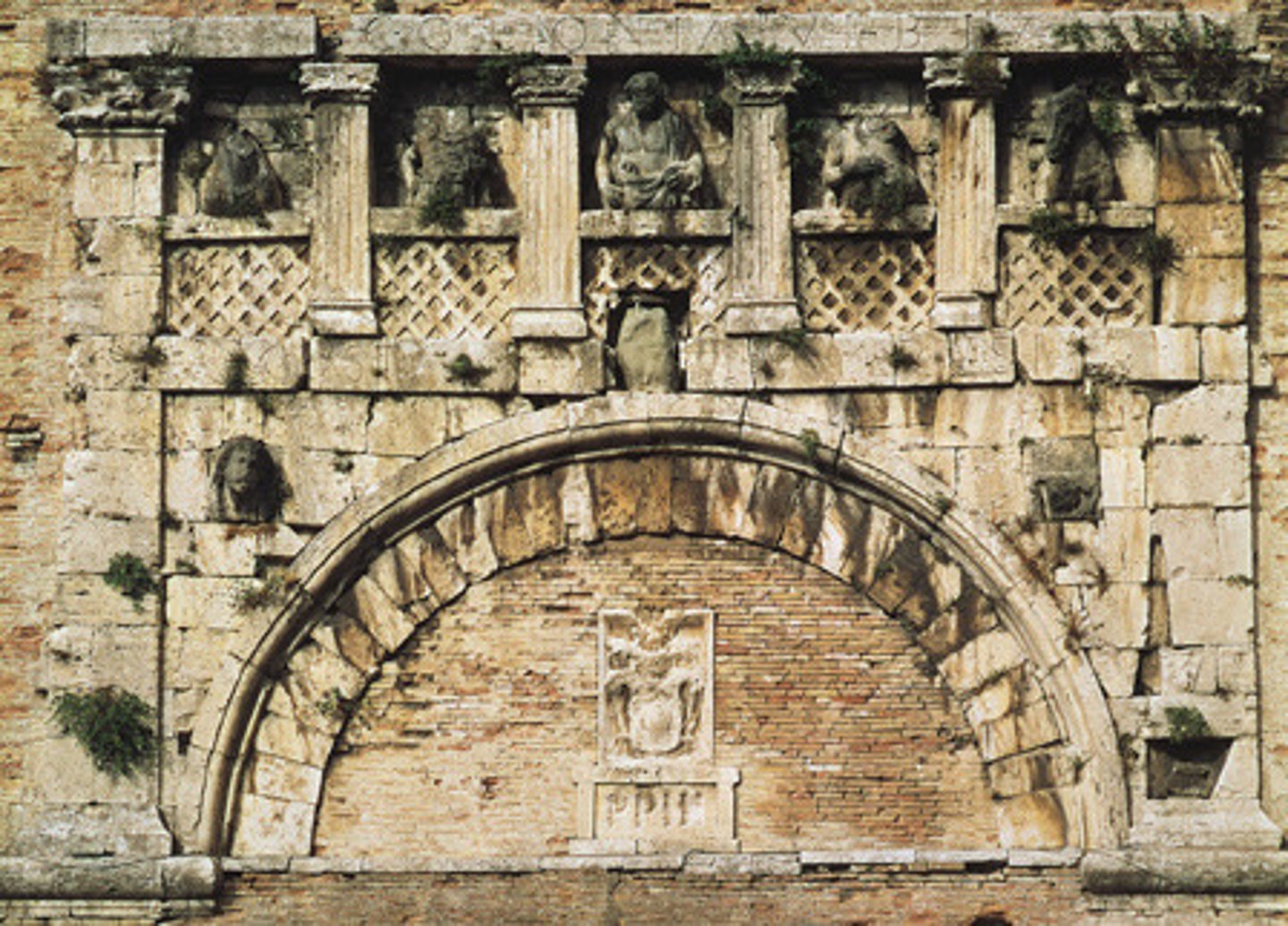 <p>What type of arch that forms a half circle?</p>