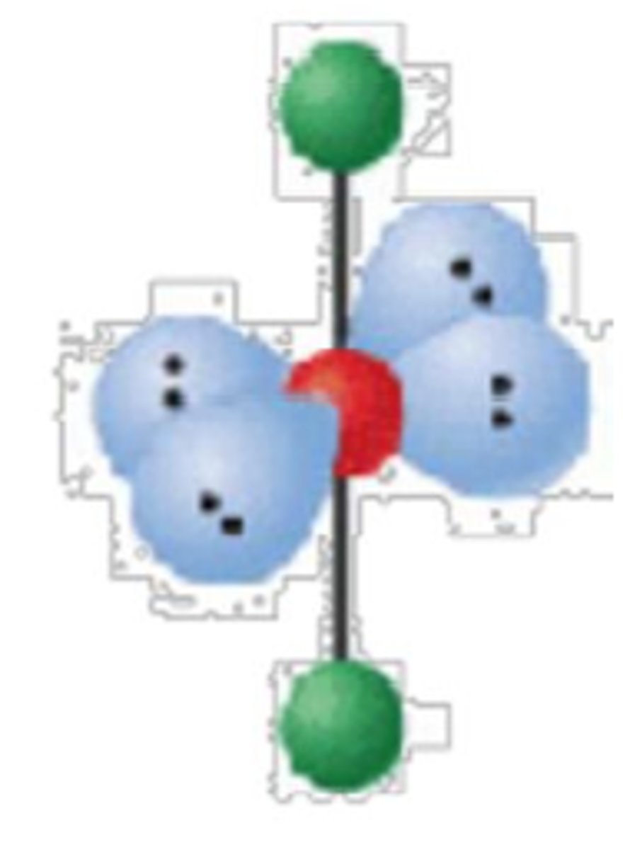 <p>AB2E4</p><p>Central atom; two bonds; four lone pairs</p>