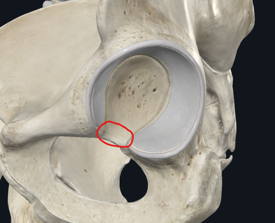 <p>What is circled</p>