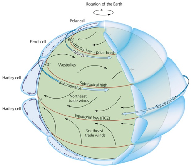 <p>Subpolar Low </p>