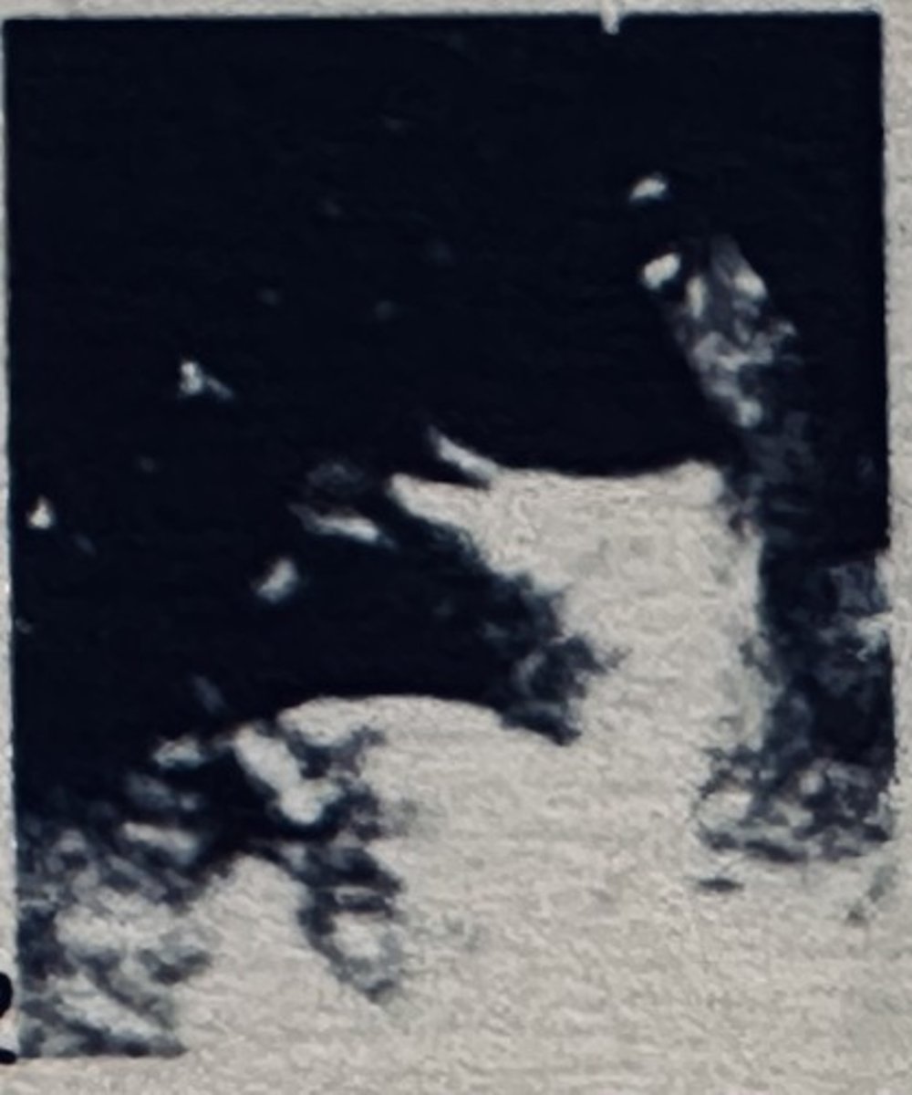 <p></p>