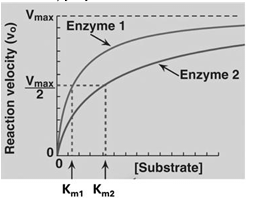 <p>In the figure below, which of the following will require more substrate to reach Vmax? (only 3 choices) [km]</p>