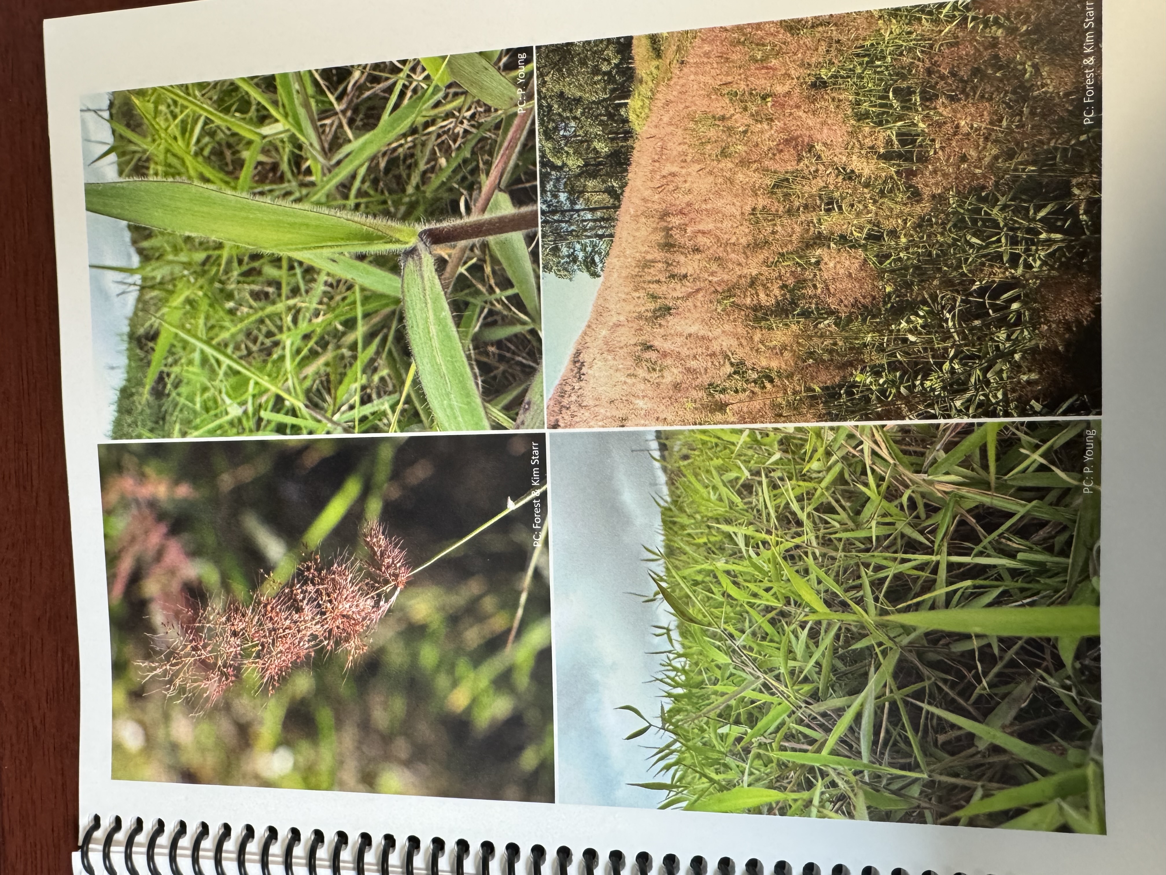 <img src="blob:null/3e48cc86-6da9-413e-841d-e6619241a61f"><p></p>