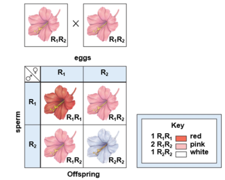 <p>This figure shows the results for _______ _______.</p>