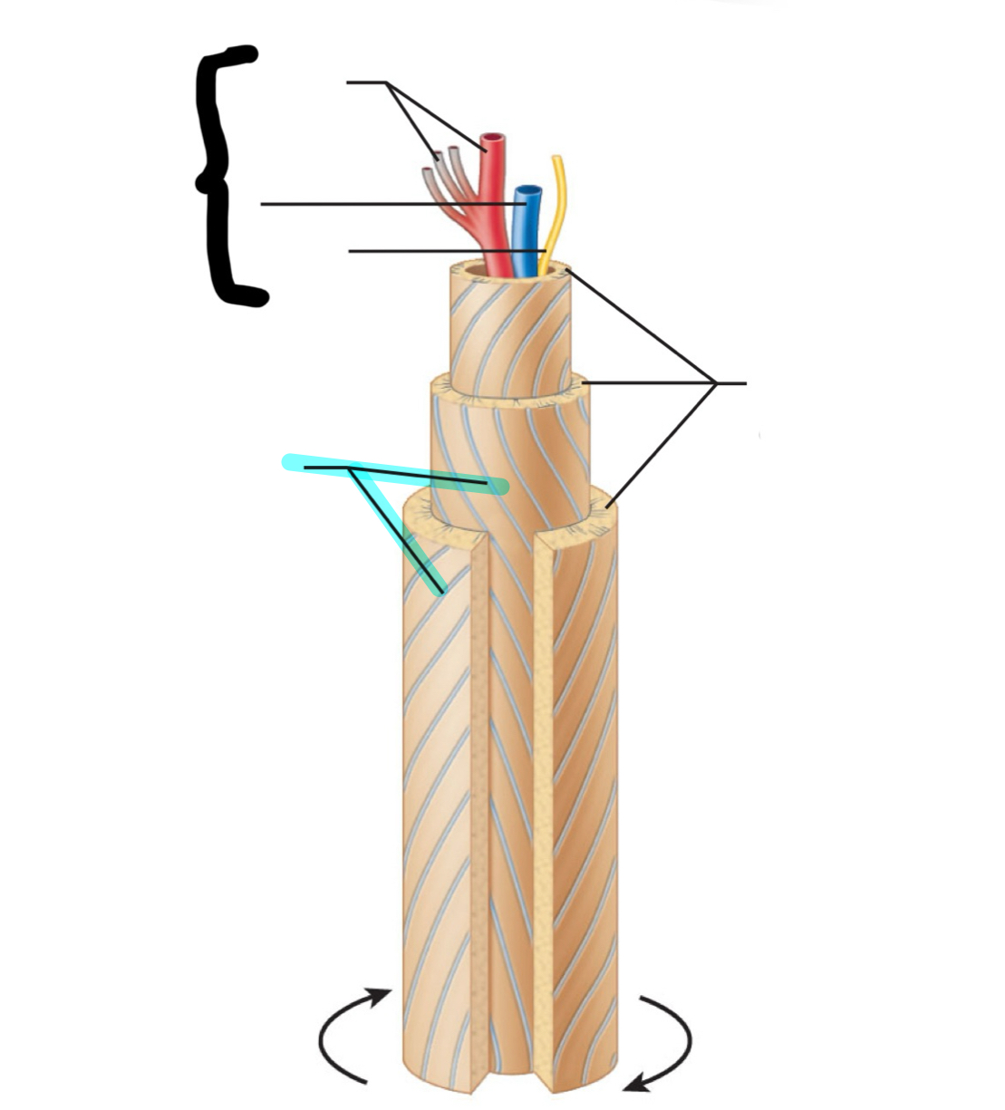 term image