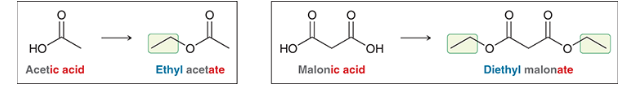 <p>ethyl acetate </p>