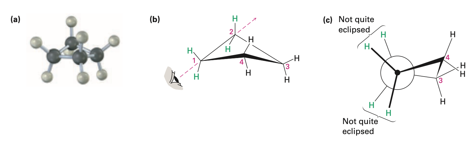 <ul><li><p>Has less angle strain than cyclopropane</p></li><li><p>More torsional strain because of larger number of ring hydrogens, and their proximity to each other</p></li><li><p>Slightly bent out of plane, one carbon atom is about 25° above the plane</p><ul><li><p>increases angle strain but decreases torsional strain</p></li></ul></li></ul><p></p>