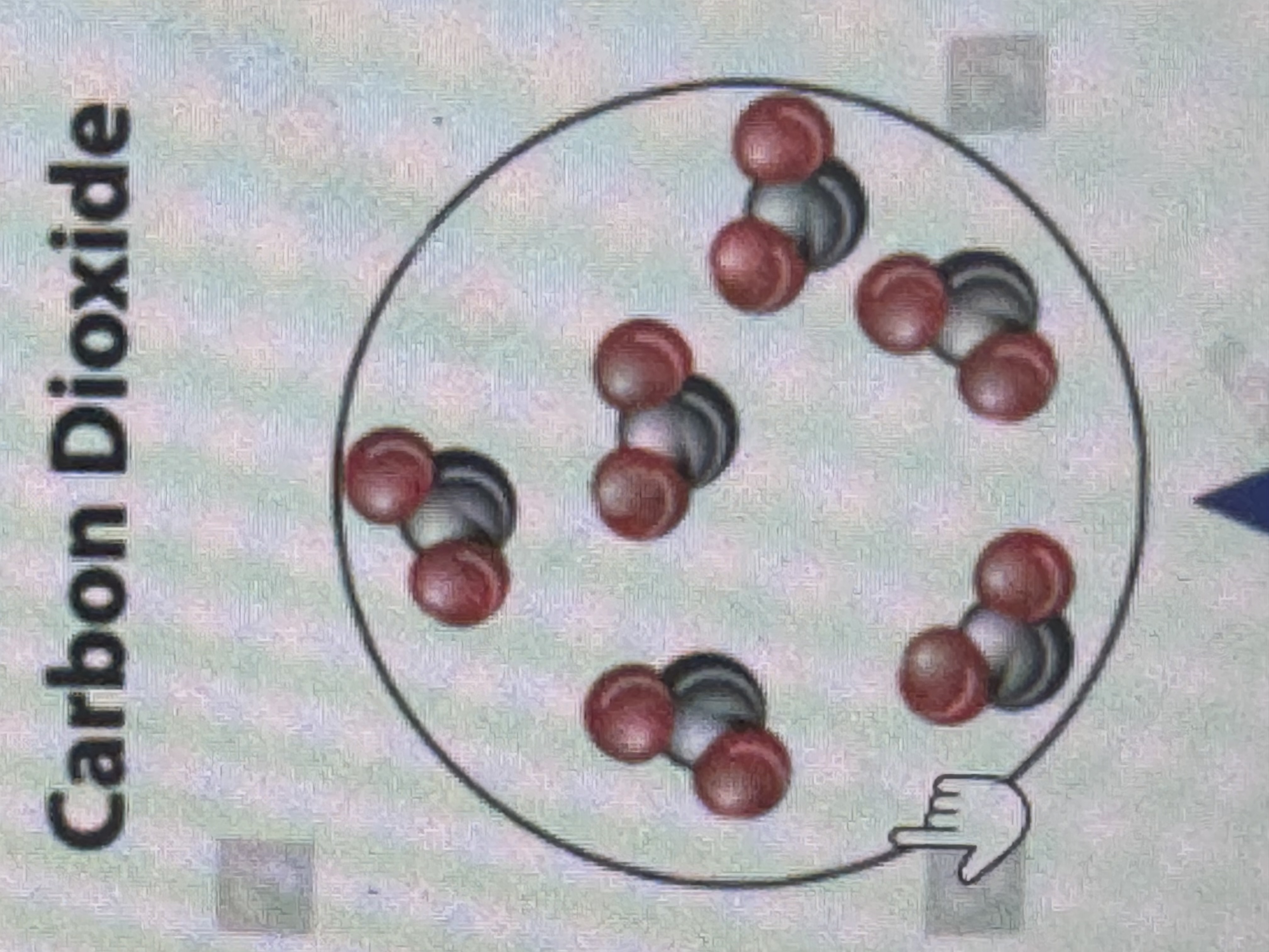 <p>compound? </p>