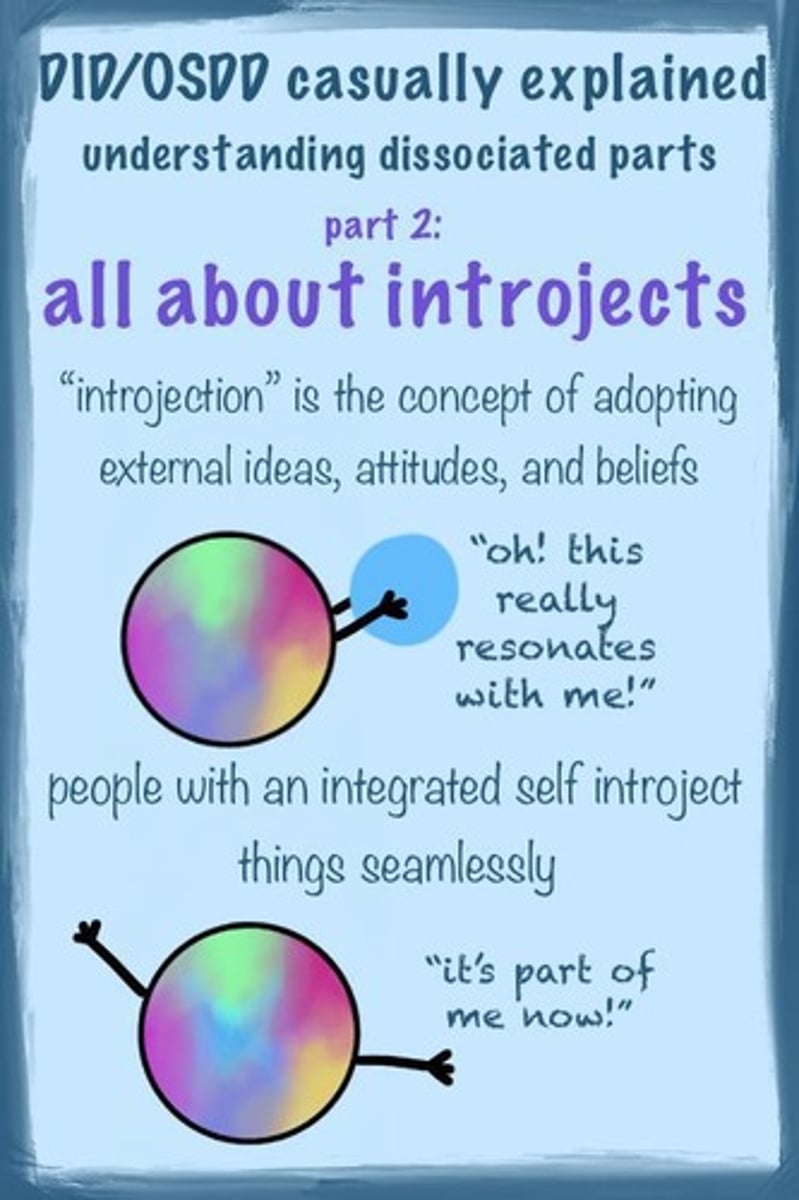 <p>Internalizing others' standards and beliefs.</p>