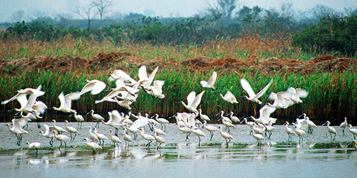 <p>(n): khu bảo tồn thiên nhiên</p>