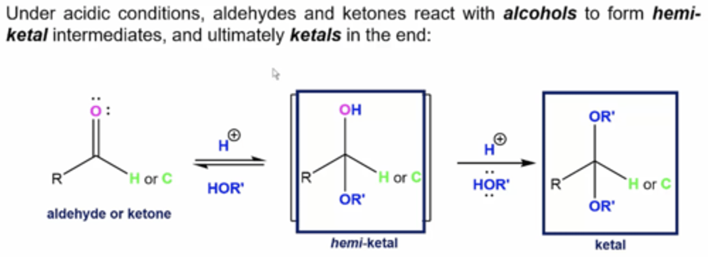 <p>form hemiketal intermediates, and ketals as final product:</p><p>1. H+ in alcohol protonates the carbonyl oxygen, breaking its double bond and forming a tetrahedral hemiketal intermediate</p><p>2. additional H+ ions will deprotonate the OH, turning it into an OR</p>