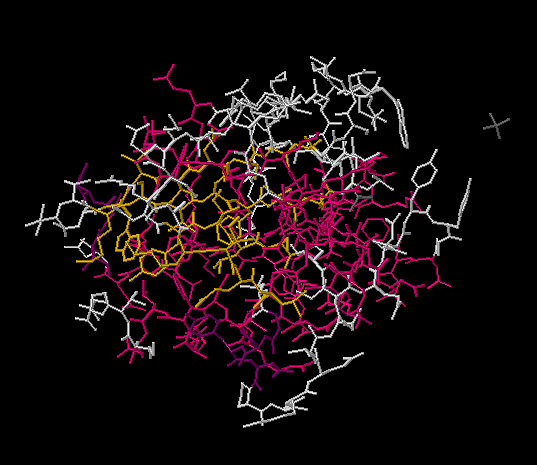 → Protein Model

* Shows positions of all amino acid side chains
* useful to predict which A.A’s responsible for activity