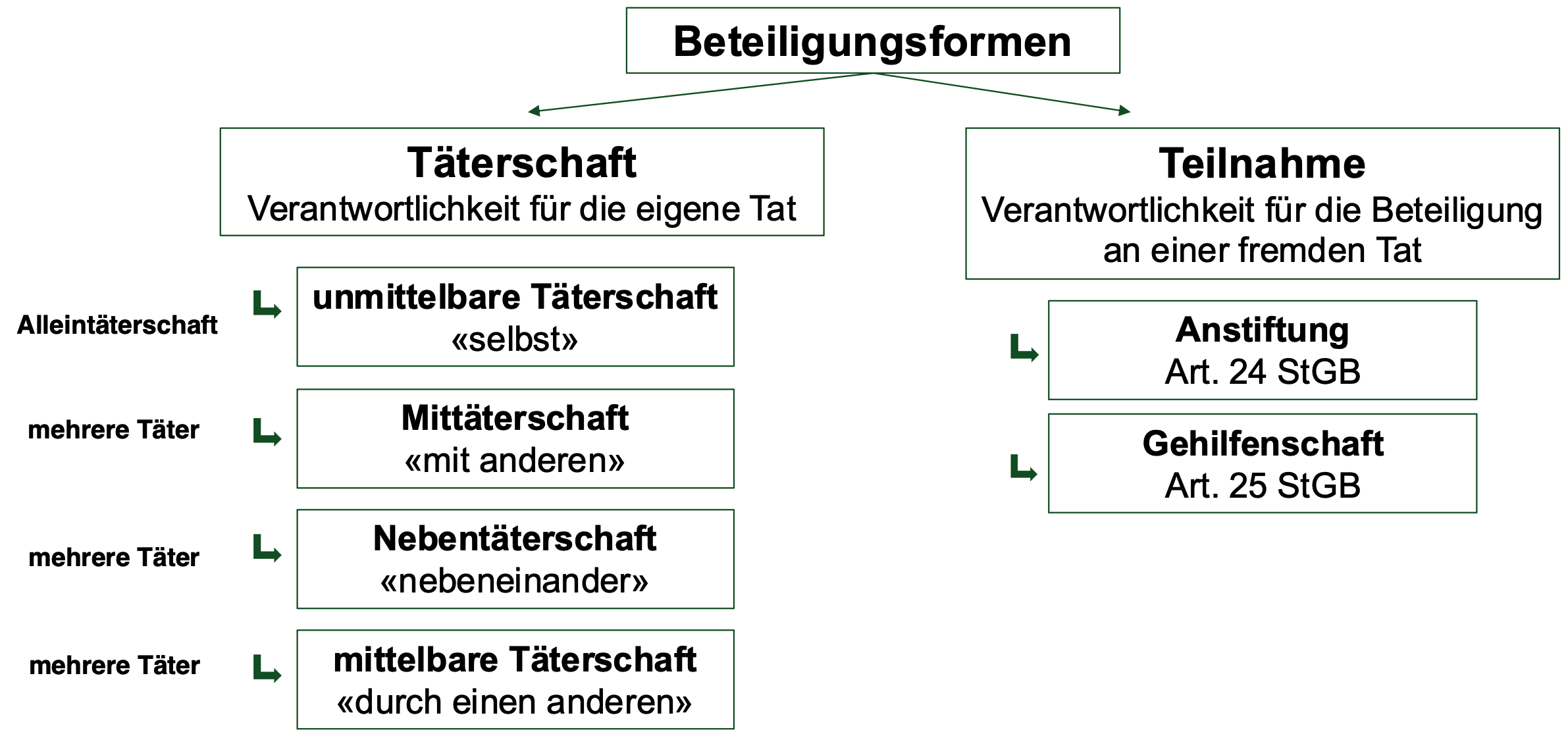 <ul><li><p><strong>Täterschaft: </strong>Täter ist, wer bei der Entschlussfassung, der Planung und der Ausführung der Tat eine wichtige Rolle spielt. Nicht erforderlich ist, dass der Täter alle Tatbestandsmerkmale persönlich verwirklicht. </p></li><li><p><strong>Teilnahme: </strong>Anstifter oder Gehilfe</p></li></ul>