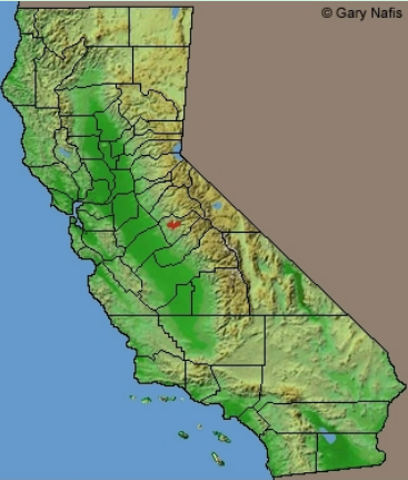 <p>Which plethodontidae range?</p>