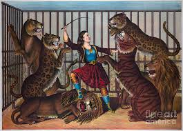 <p><strong>someone who trains lions so that they can perform in a </strong><span><strong>circus</strong></span><strong>:</strong></p><p><br></p>