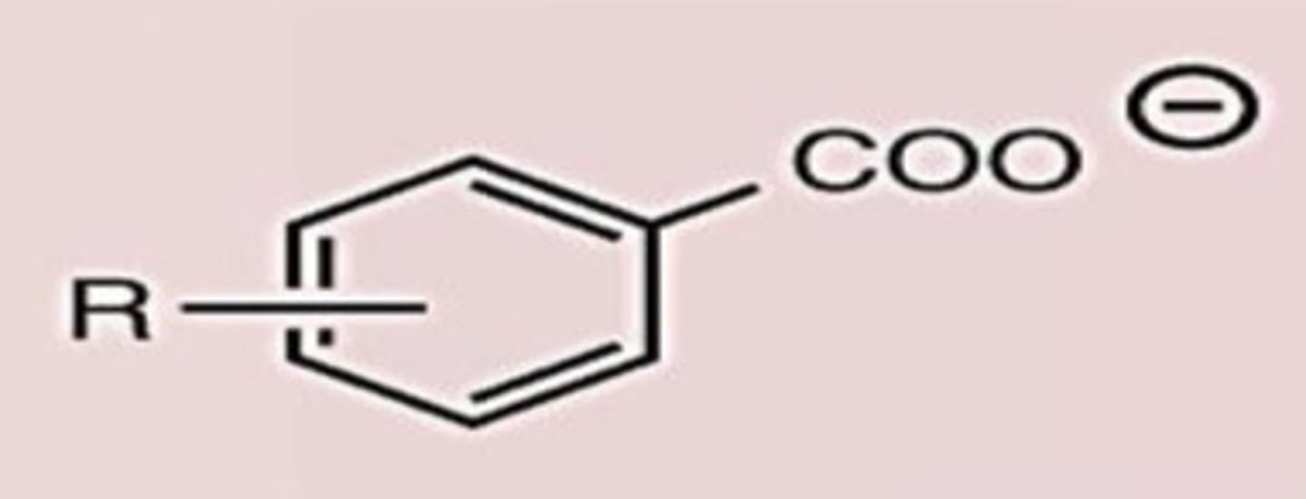 <p>Conj. Base</p>