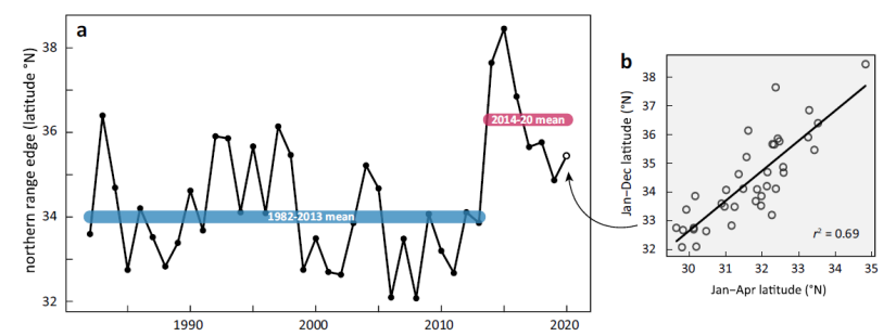 <p>Summarize some of the research that has observed range shifts in various species (e.g. sharks, krill, insects, etc.):</p>