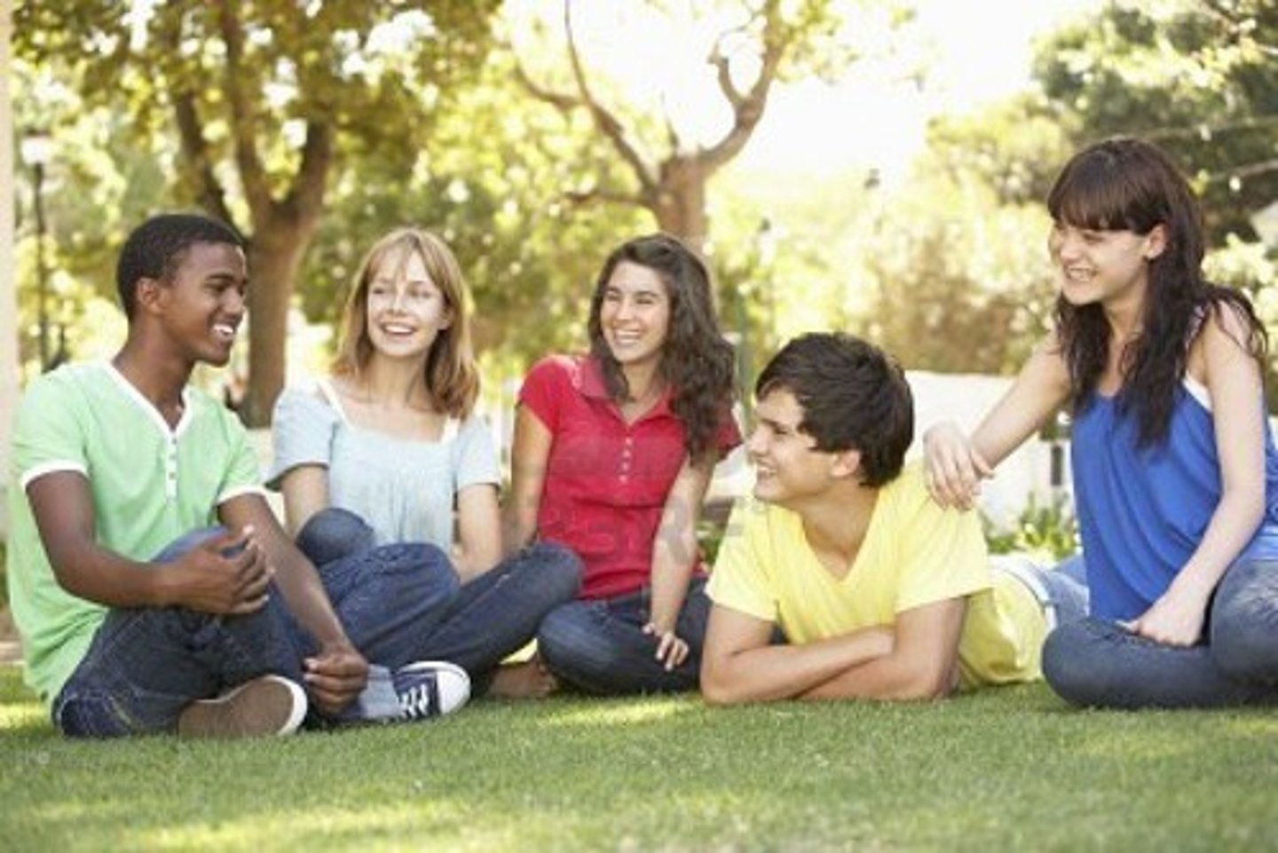 <p>clique, group of friends</p>