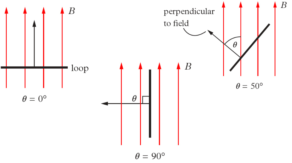 <p>the angle between the perpendicular to the loop and the field</p>