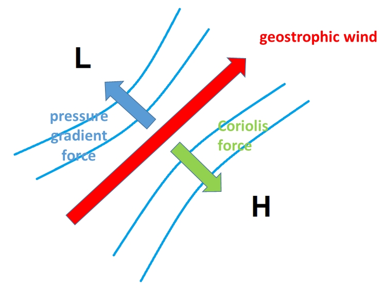 <p>Explain “Geostrophic wind”</p>