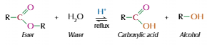 <ul><li><p>Ester split into alcohol and carboxylic acid</p></li><li><p>As it is reversable, needs water to push reaction forwards</p></li></ul><p></p>