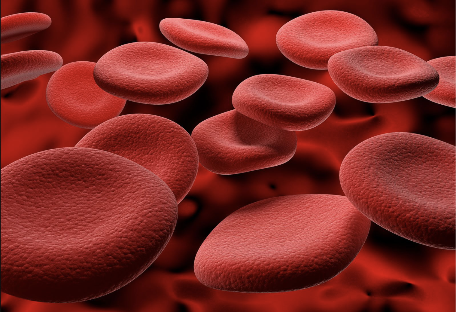 <p>what are the functions of the blood?</p>