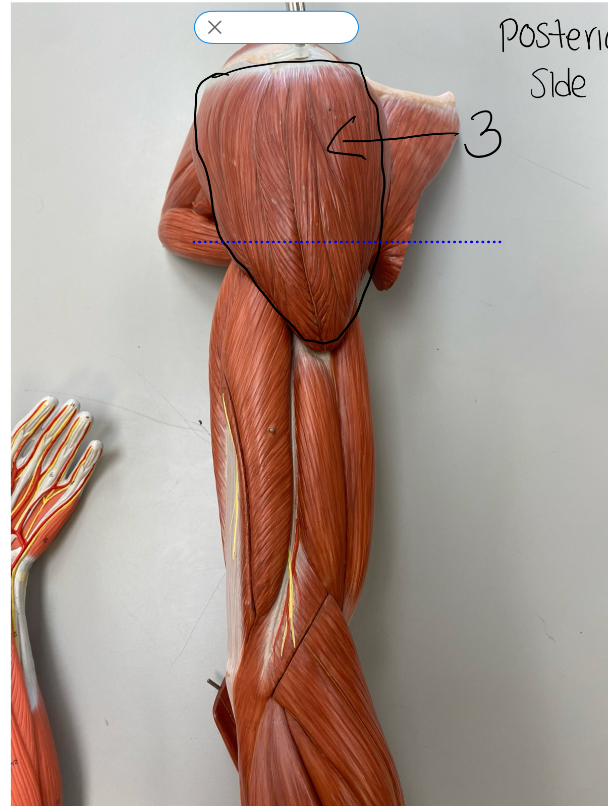<p>3</p>