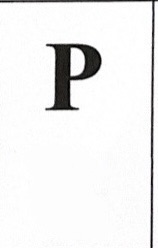 term image