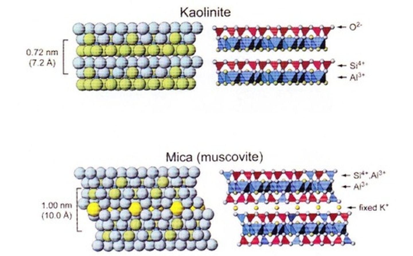 <p>They consist of one tetrahedral sheet and one octahedral sheet, tightly bound with no interlayer space.</p>