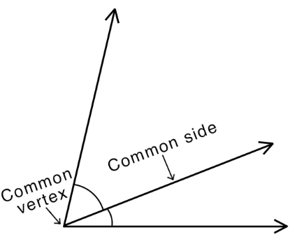 <p>two angles that share a common vertex and side </p><p>(neighbors)</p>