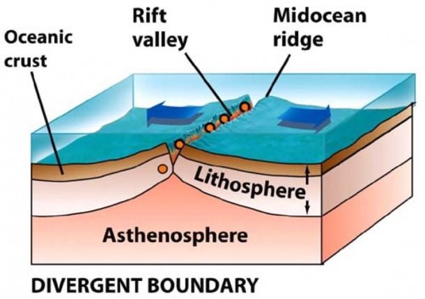 <ul><li><p><span>When two plates with oceanic crust pull apart, a </span><strong>mid-ocean ridge</strong><span> forms. </span></p></li><li><p><span>Cracks in the thin crust allow magma to rise from the mantle. </span></p></li><li><p><span>Eruptions from deep-sea volcanoes produce&nbsp;new oceanic crust. </span></p></li><li><p><span>This causes slow&nbsp;</span><strong>seafloor spreading</strong><span>.</span></p></li></ul>