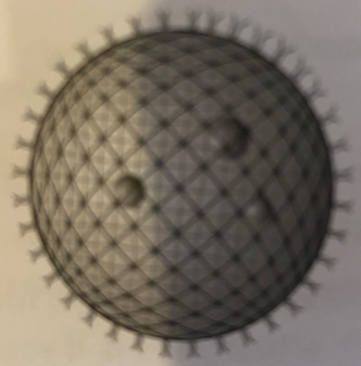 <p>a green, single-celled aquatic organism that forms minute, free-swimming spherical colonies. has specialized cells for sexual (oogamous) and asexual reproduction, eyespots</p>