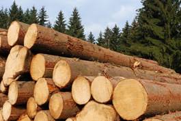 <p>Traditional sources of energy which are familiar to most people. For example: Wood, Fossil Fuels</p>