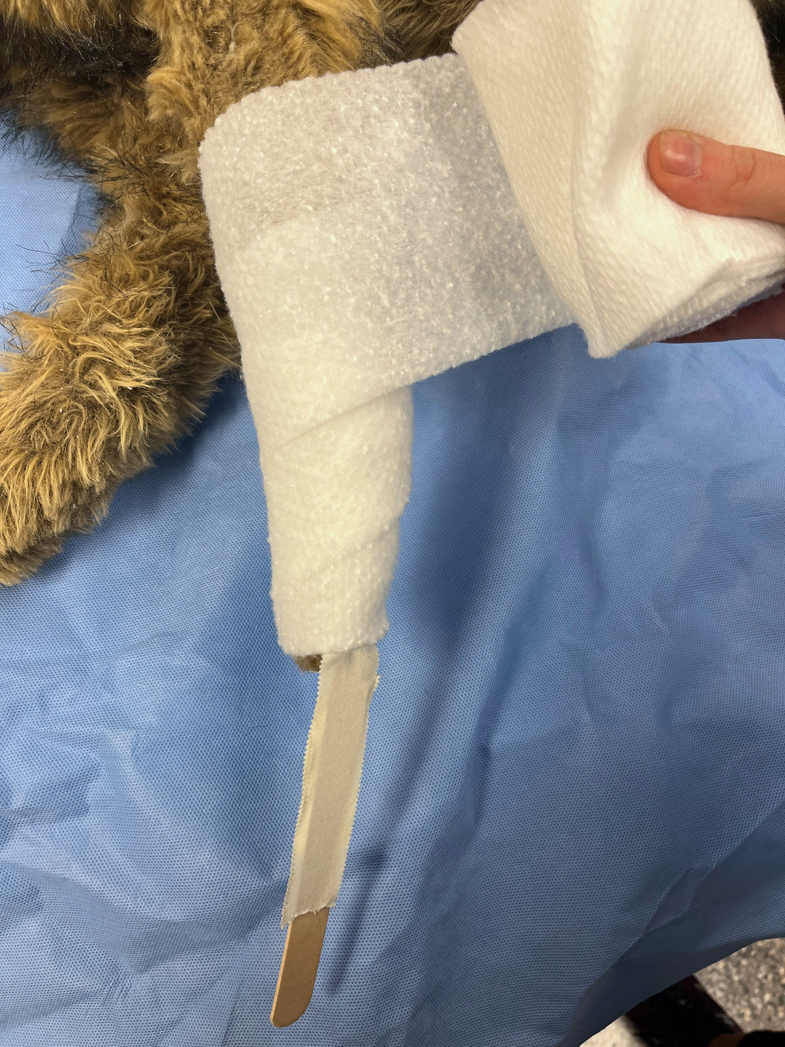 <p>Which bandage layer is being applied in this photo</p>