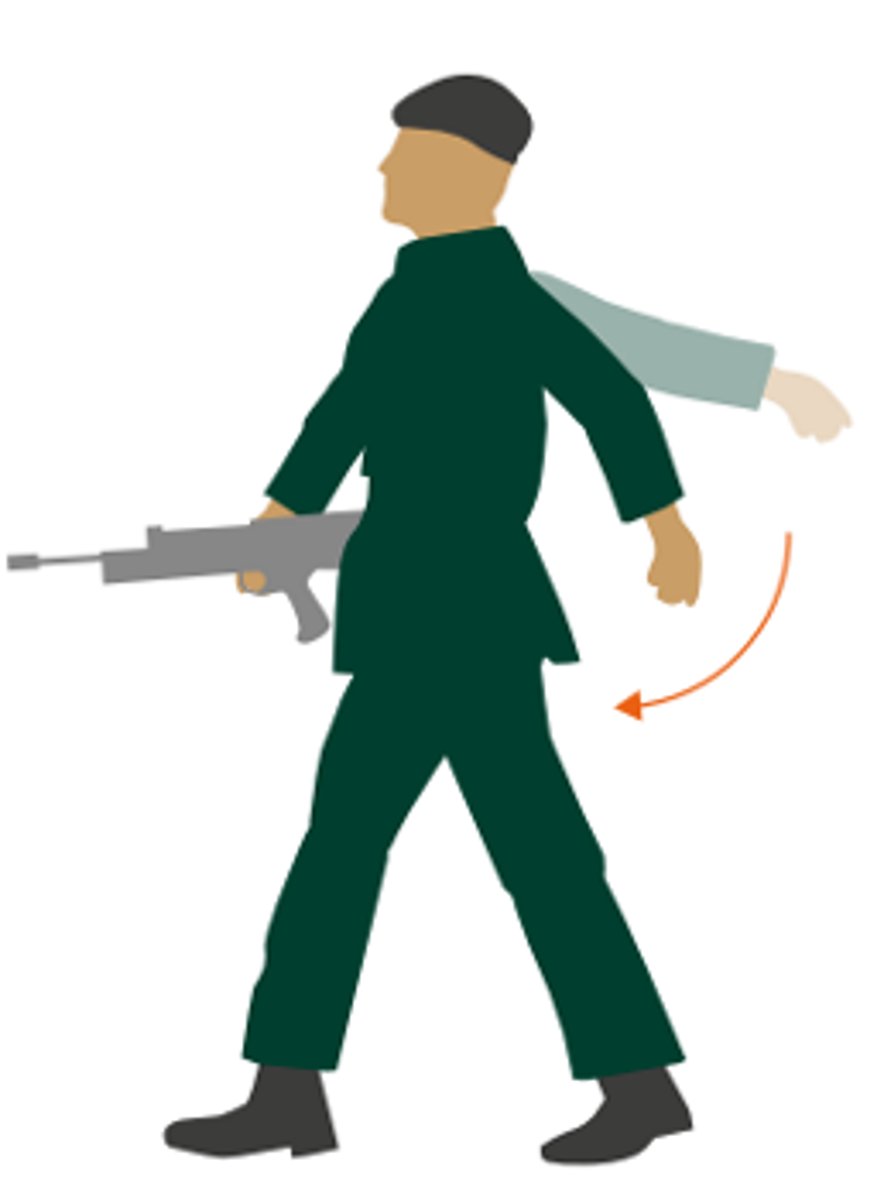 <p>Advance or Follow Me</p>