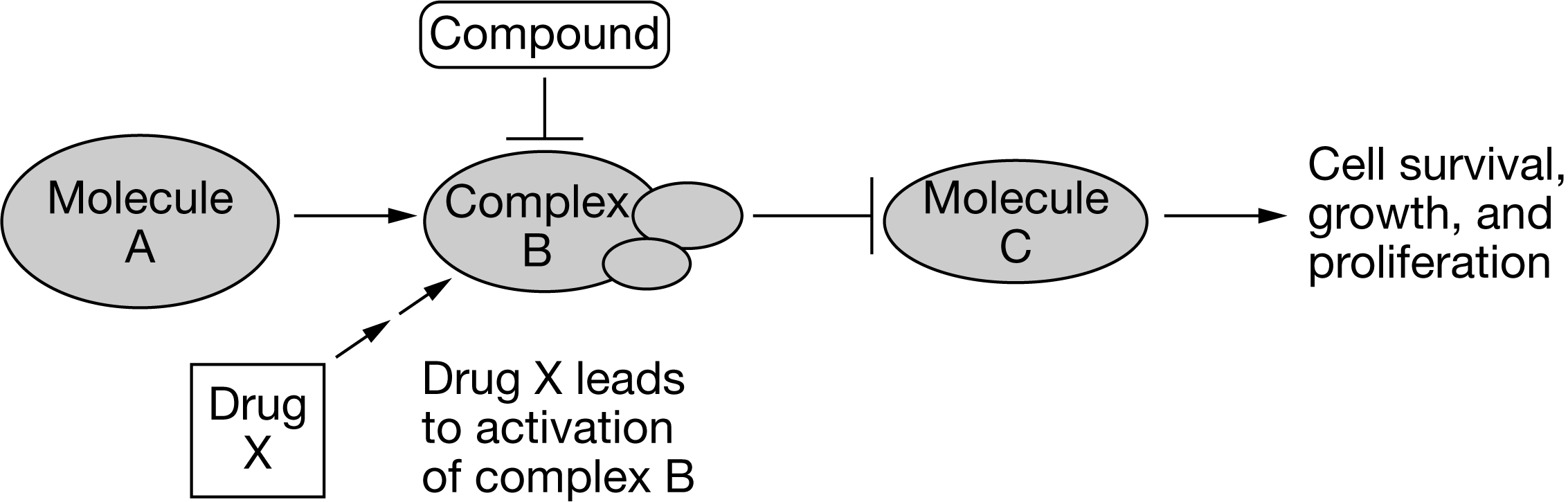 <p>c</p>