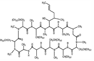 <p>Cyclosporin (Ciclosporion/ Cyclosporin A)</p>