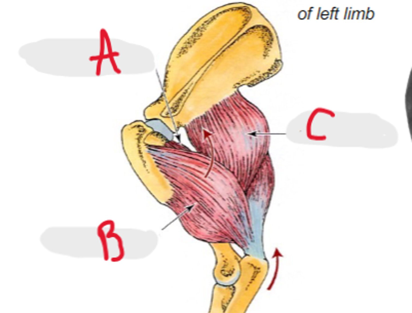 <p>What is B?</p>