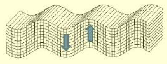 <p>What Seismic wave does this image represent?</p>