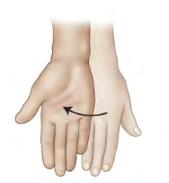 <p>Movement term </p>