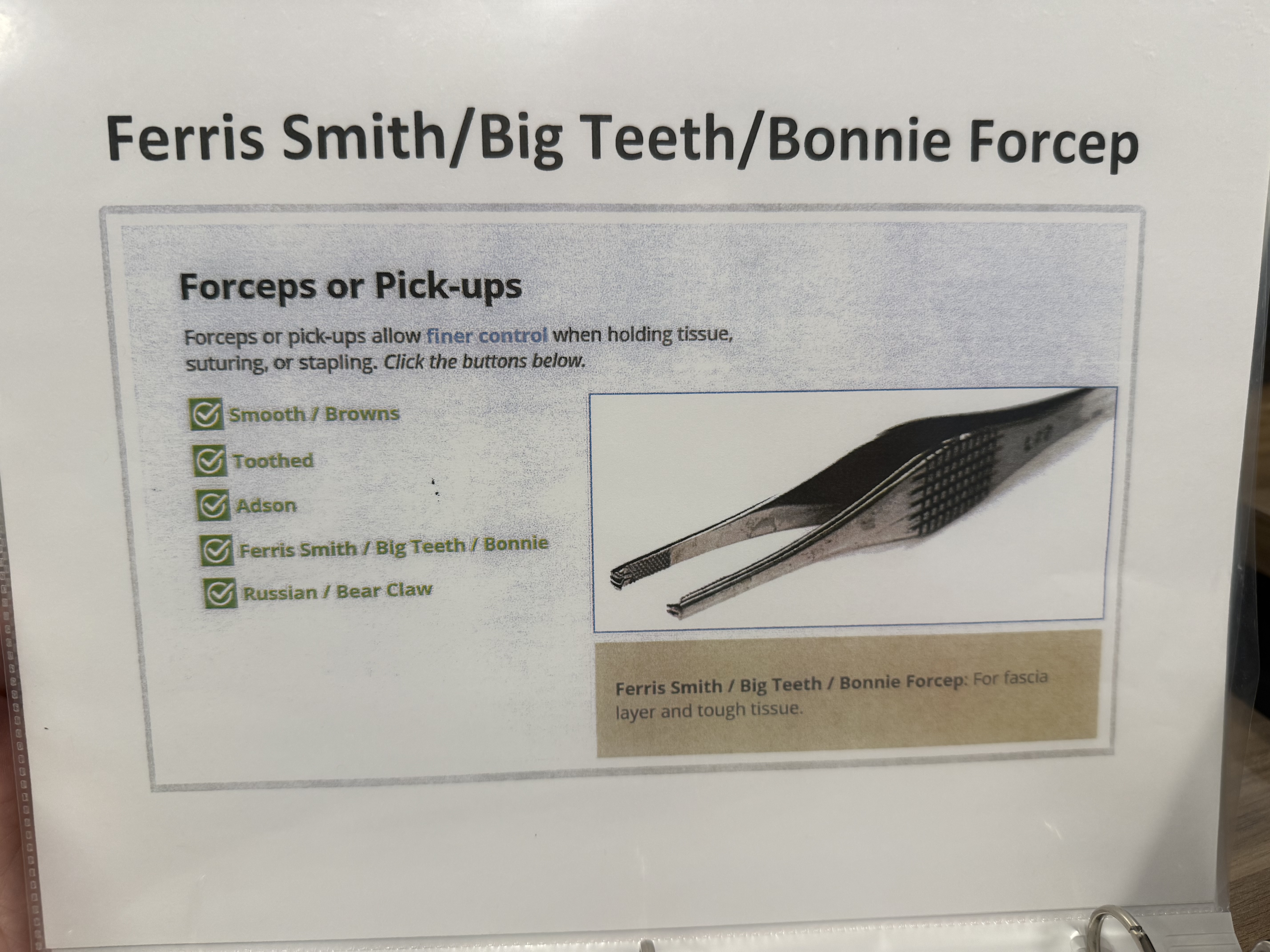 <p>Ferris Forcep</p>