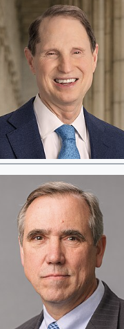 <p></p>